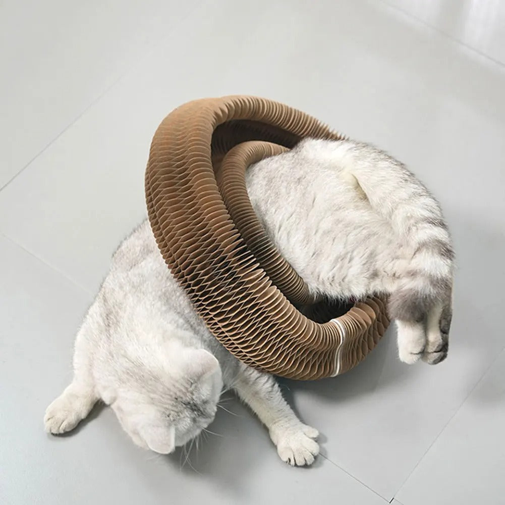 Macskakarmolás játék