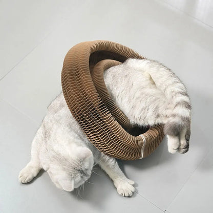 Macskakarmolás játék